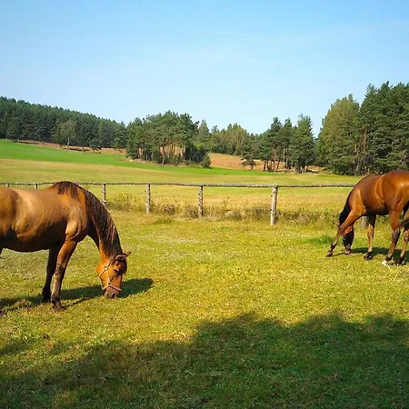 شقة Urlop Na Kaszubach Sominy