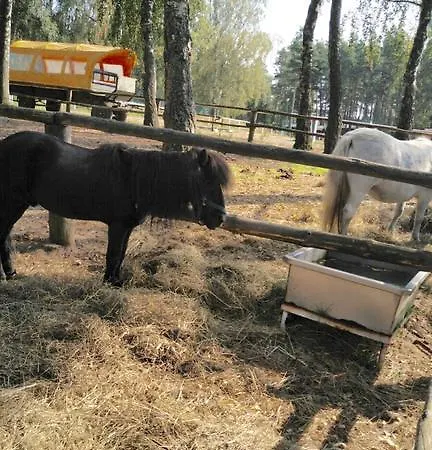 Urlop Na Kaszubach شقة *