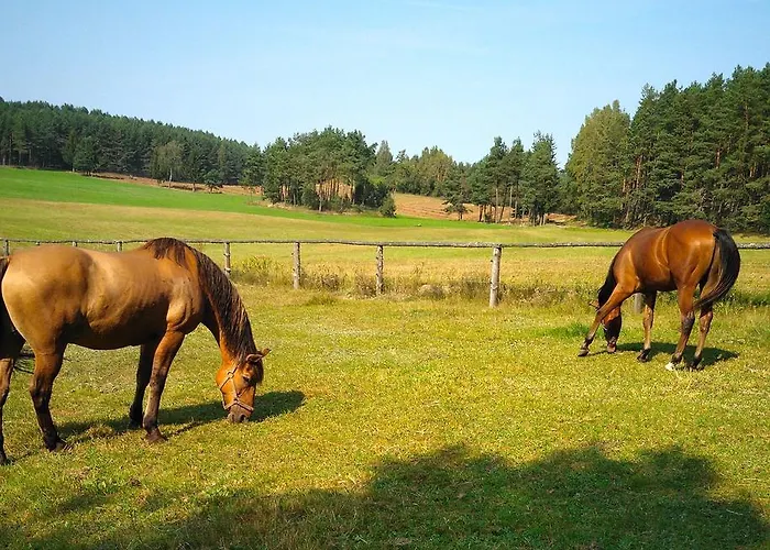 Apartmán Urlop Na Kaszubach Sominy