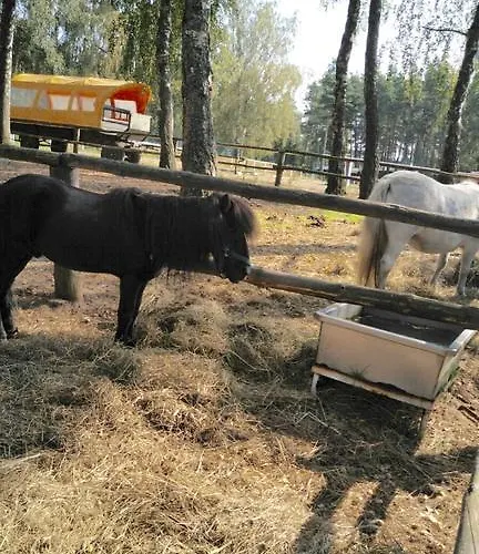 Urlop Na Kaszubach Apartmán *